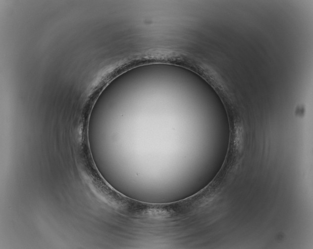 X0000111460636200907201114