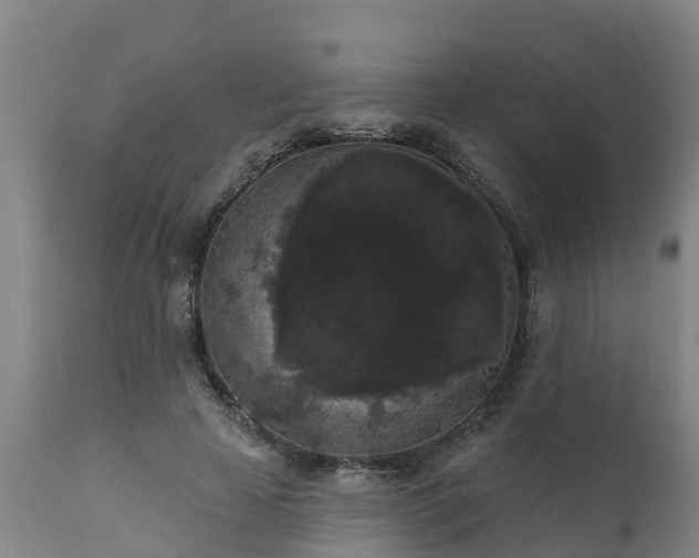 X0000111460641200907201114