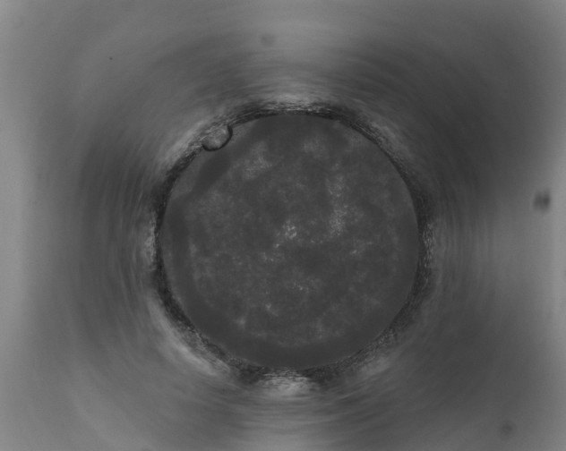 X0000111460642200907201114