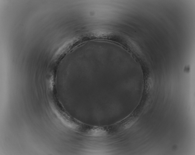 X0000111460644200907201114