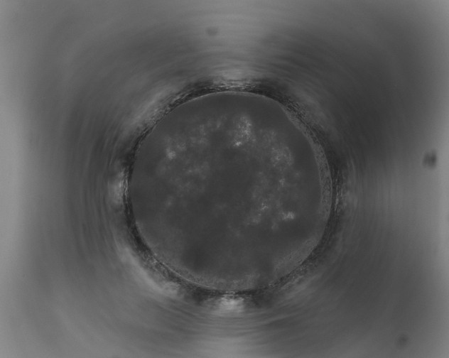 X0000111460647200907201114