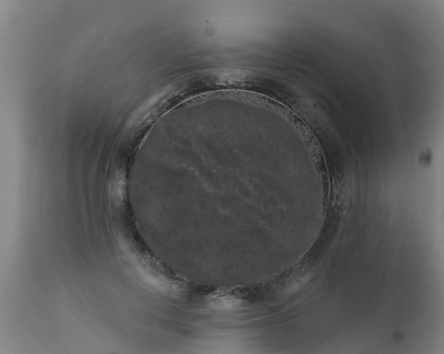 X0000111460648200907201114