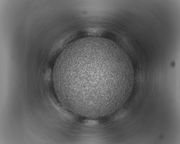 X0000111460649200907201114