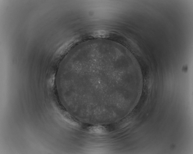 X0000111460652200907201114