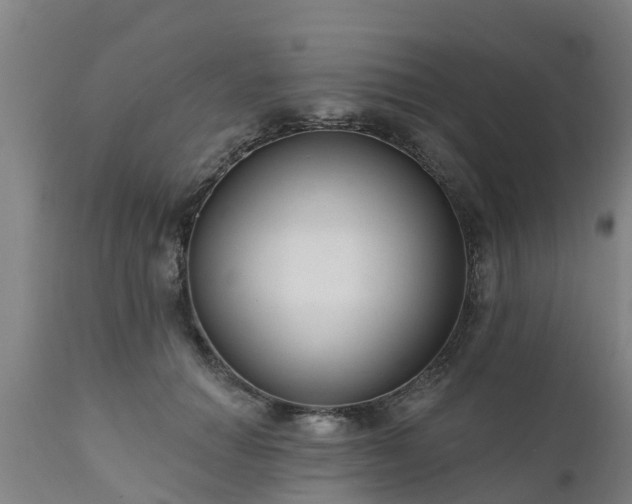 X0000111460654200907201114