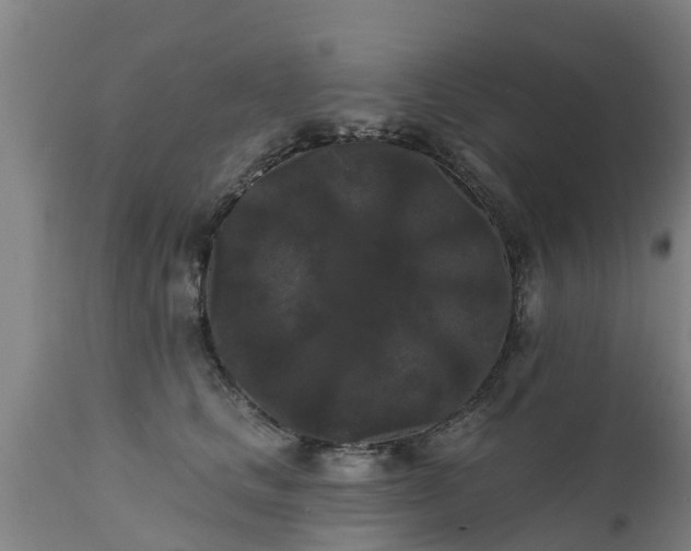 X0000111460661200907201114