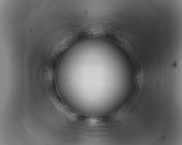 X0000111460662200907201114