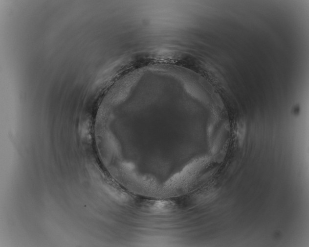 X0000111460663200907201114