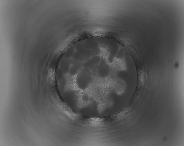 X0000111460667200907201114