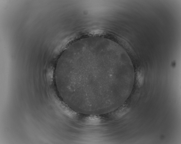 X0000111460668200907201114