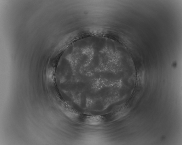 X0000111460671200907201114