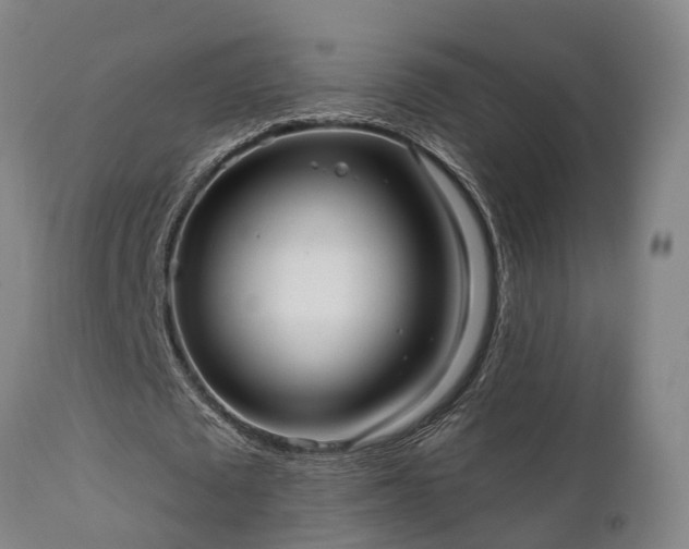 X0000111460673200907201114