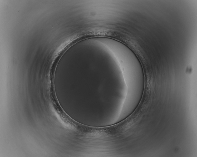 X0000111460674200907201114