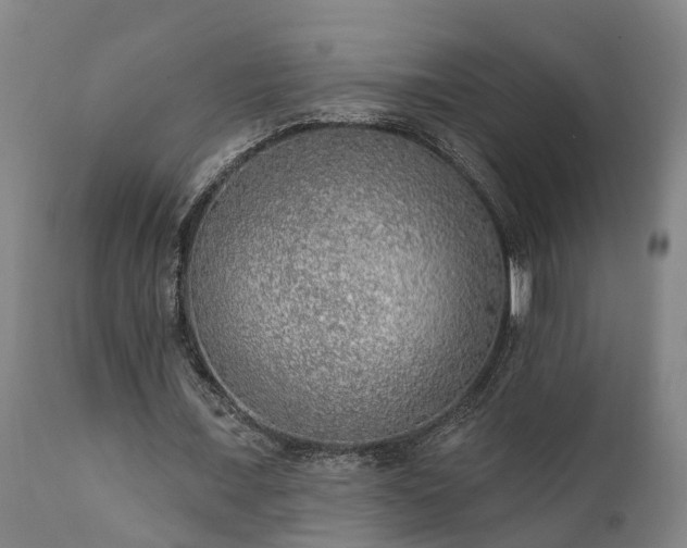 X0000111460675200907201114