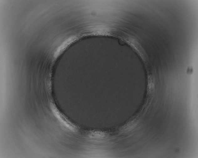 X0000111460677200907201114