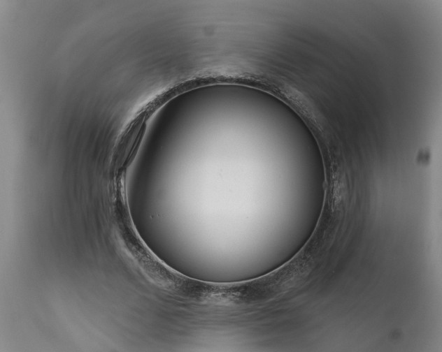 X0000111460680200907201114