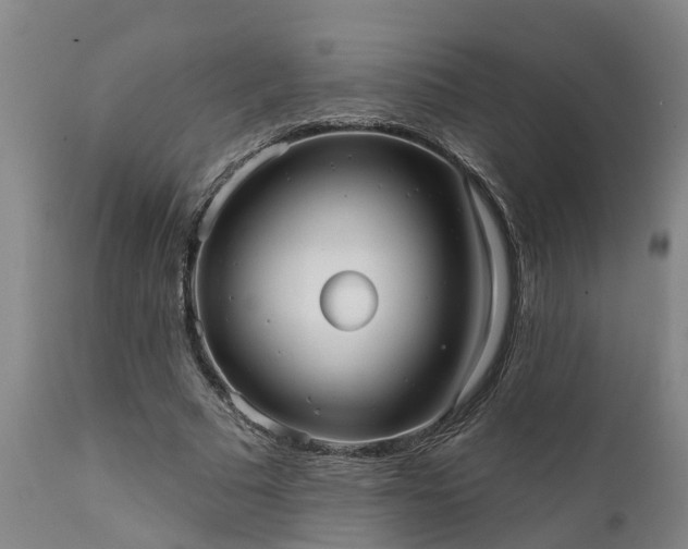 X0000111460681200907201114