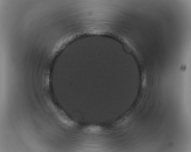 X0000111460685200907201114