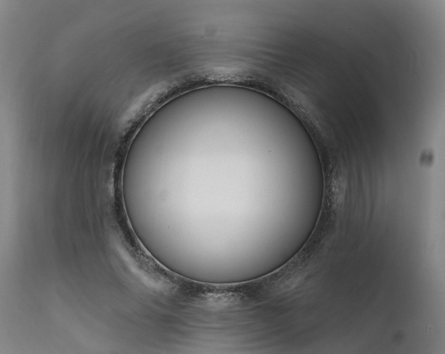 X0000111460686200907201113