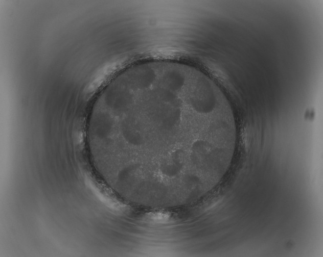 X0000111460687200907201113