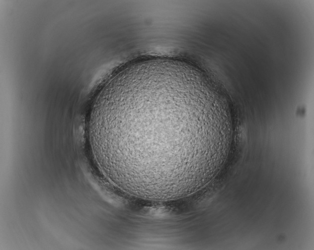 X0000111460688200907201113