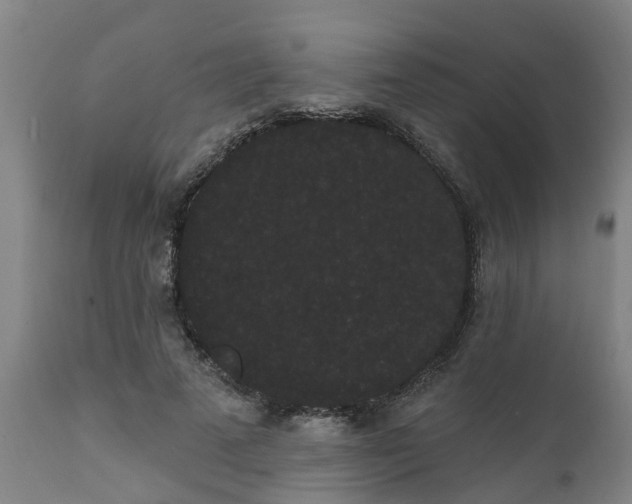 X0000111460689200907201113