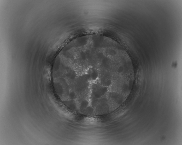 X0000111460699200907201113