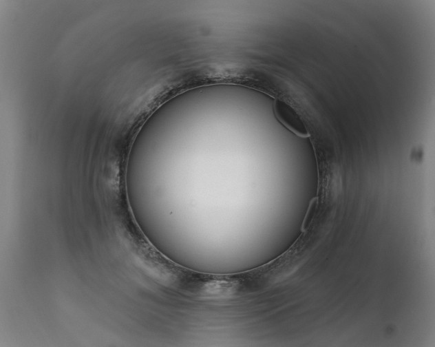 X0000111460700200907201113