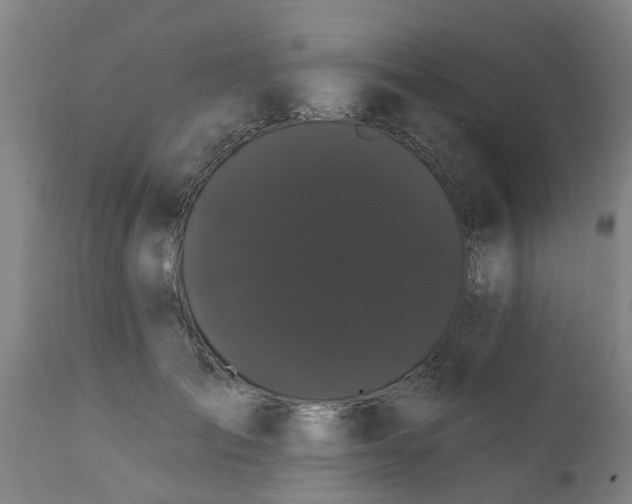 X0000111460701200907201113