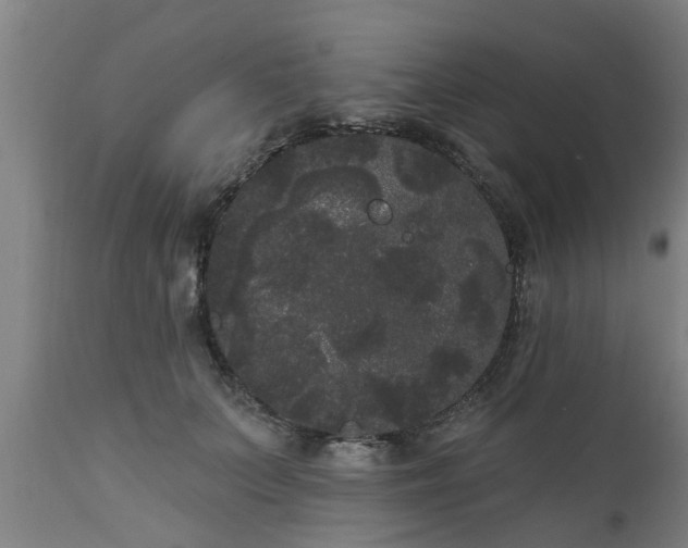 X0000111460703200907201113