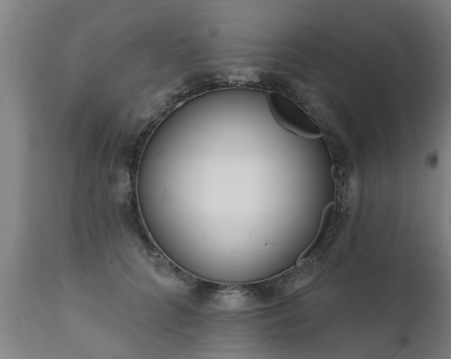 X0000111460704200907201113