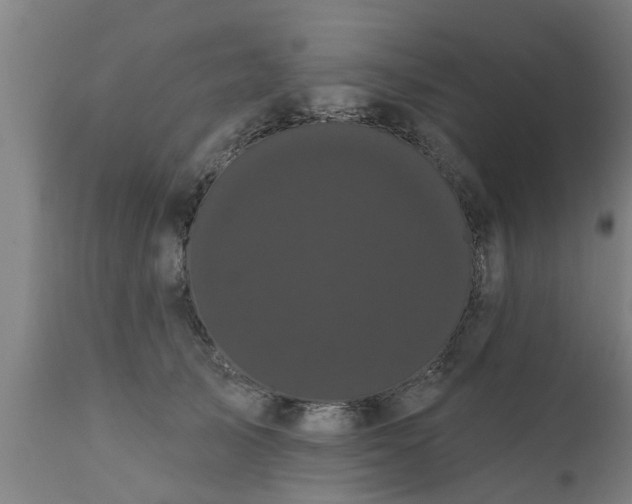 X0000111460705200907201113