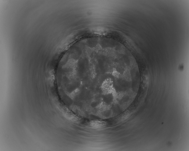 X0000111460707200907201113