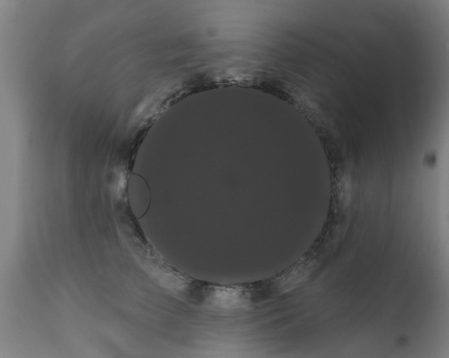 X0000111460709200907201113