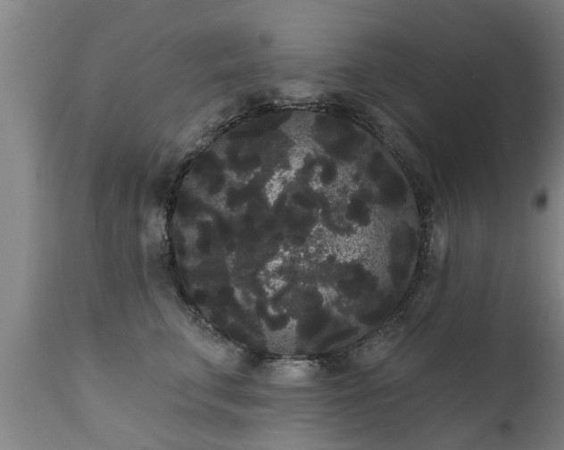 X0000111460711200907201113