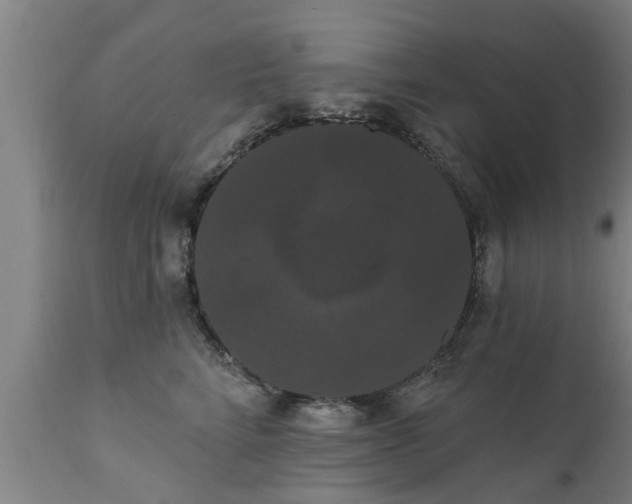 X0000111460712200907201113