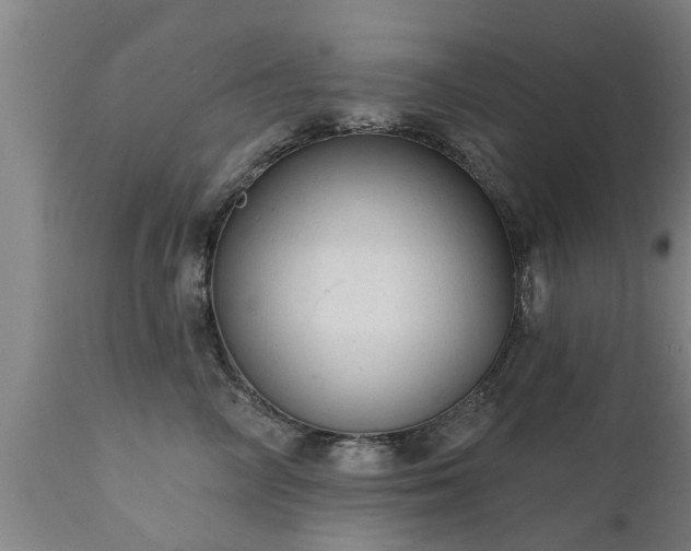 X0000111460714200907201113