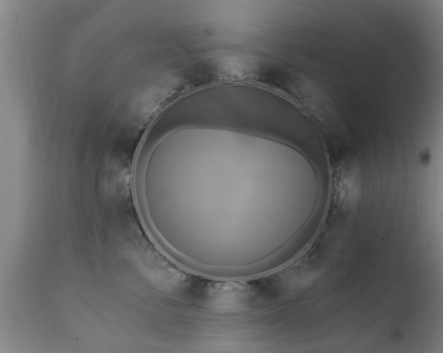 X0000111460716200907201113