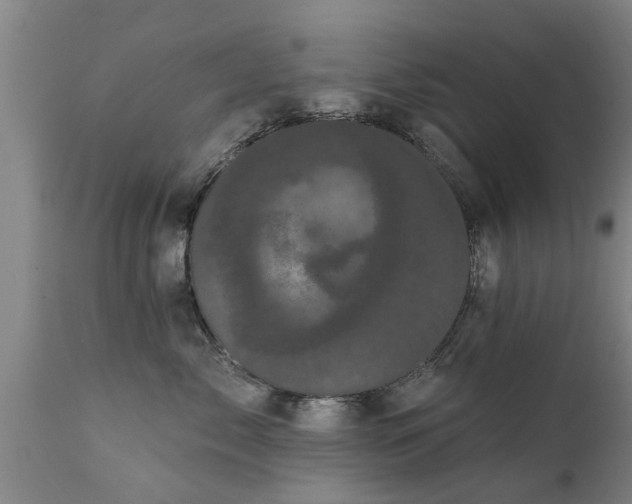 X0000111460717200907201113