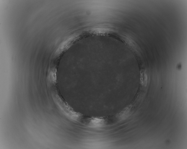 X0000111460718200907201113