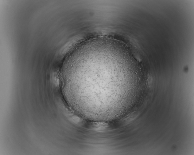 X0000111460719200907201113