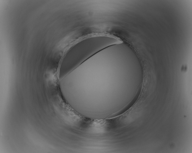 X0000111460720200907201113