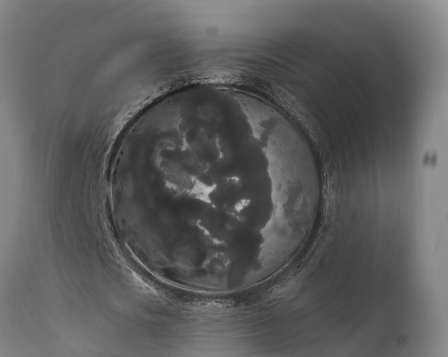 X0000111460721200907201112