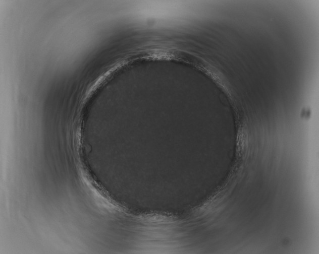 X0000111460722200907201112