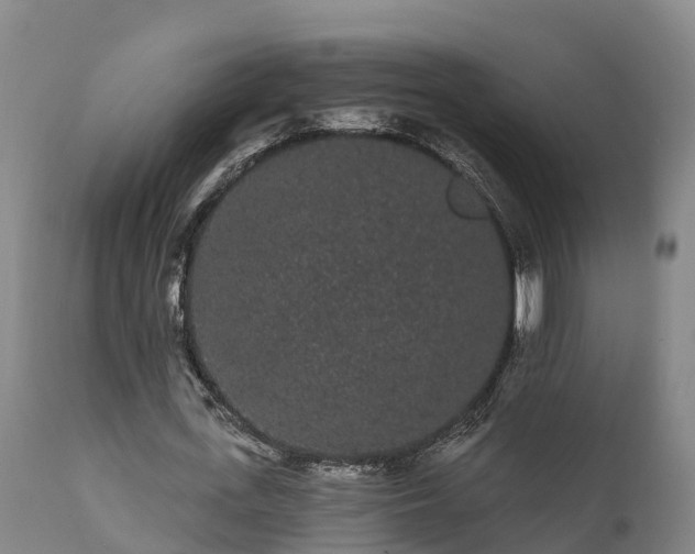 X0000111460723200907201112