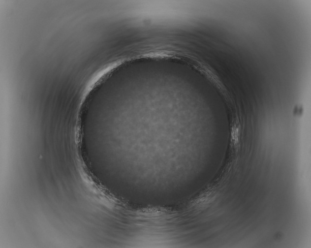 X0000111460724200907201112