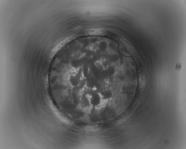 X0000111460725200907201112