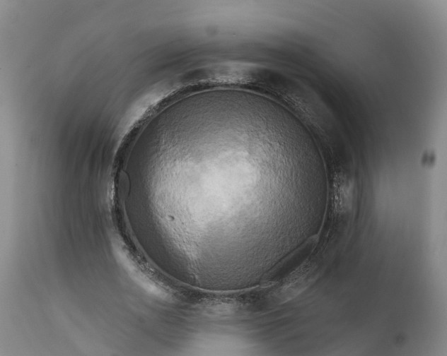 X0000111460726200907201112