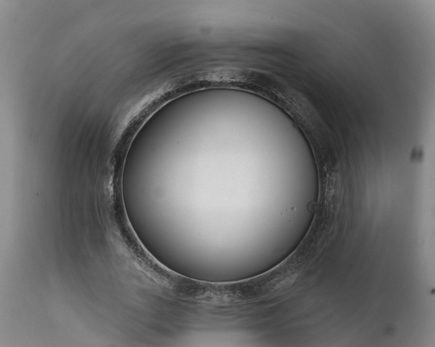 X0000111460727200907201112