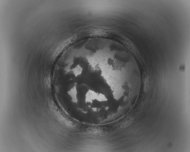 X0000111460729200907201112